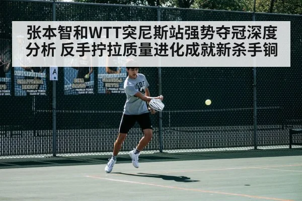 张本智和WTT突尼斯站强势夺冠深度分析 反手拧拉质量进化成就新杀手锏
