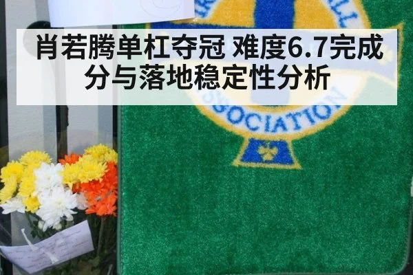 肖若腾单杠夺冠 难度6.7完成分与落地稳定性分析